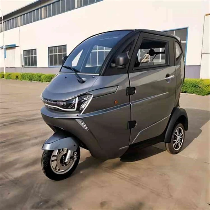 Electric Tiny Car Tricycle Motorbikes COC