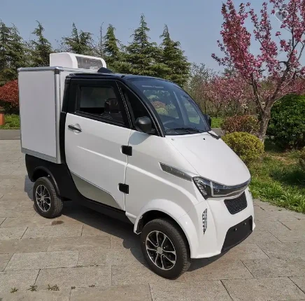 High Quality 3 Wheel New Electric Cargo Bike For Delivery EEC Electric Tricycle Cargo